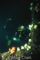 Wreck Divers 30 metres down on the wreck of the Primrose.... by Mike Clark 